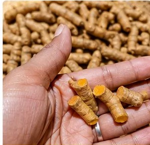 Turmeric - Finger
