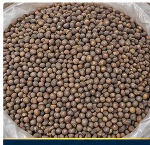 Lentils