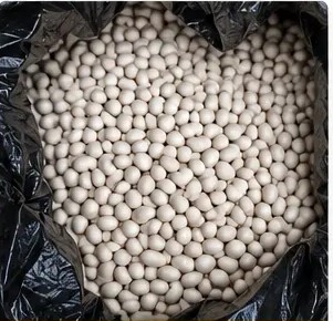 White Haricot Beans