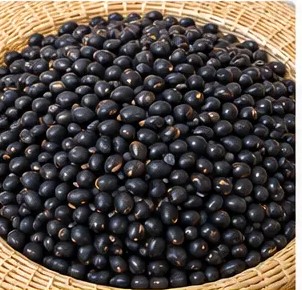 Black Beans