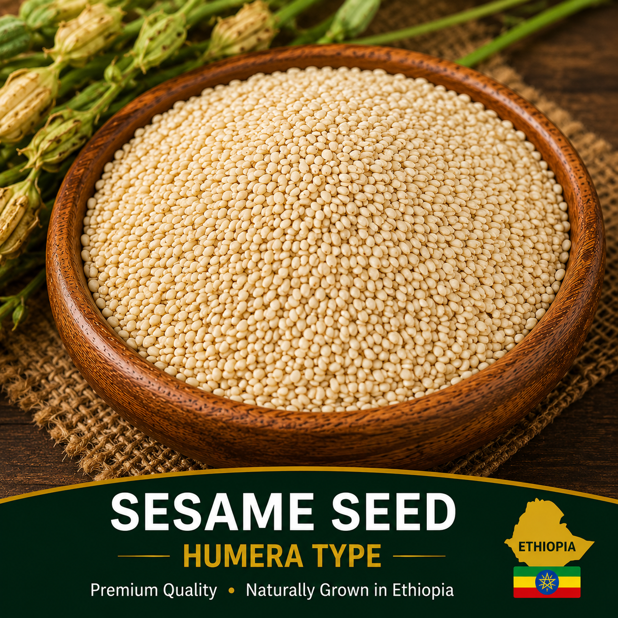 Sesame Seed - Humera Type